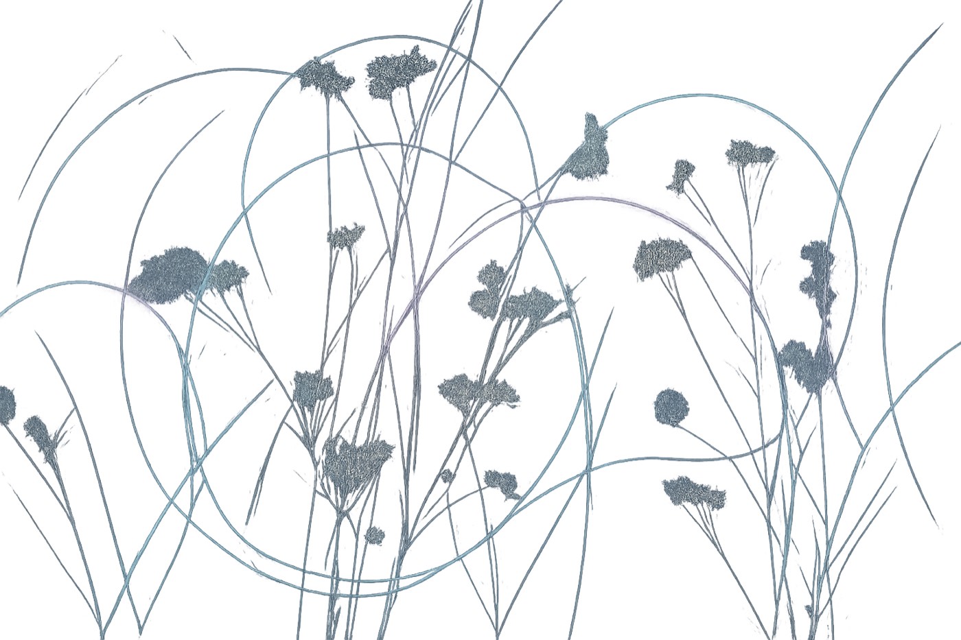 Progetto Aurea Studio